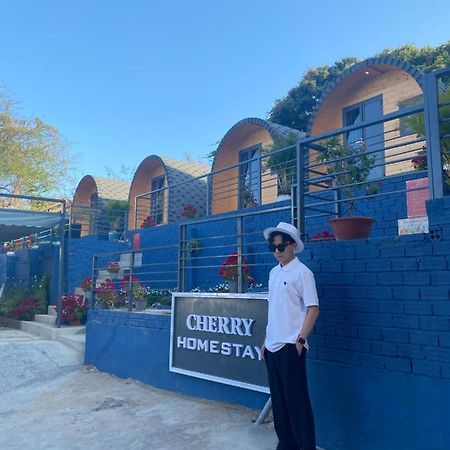 Cherry Homestay Bungalow Vung Tau Exterior photo